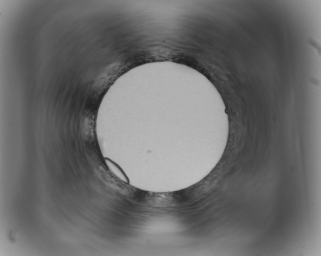 X0000099410768200806060931