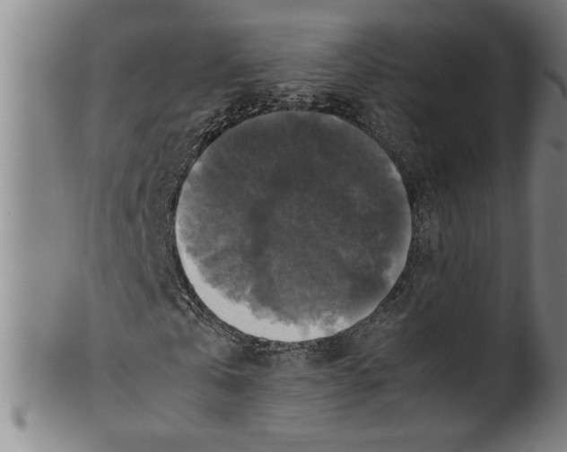 X0000099410769200806060931