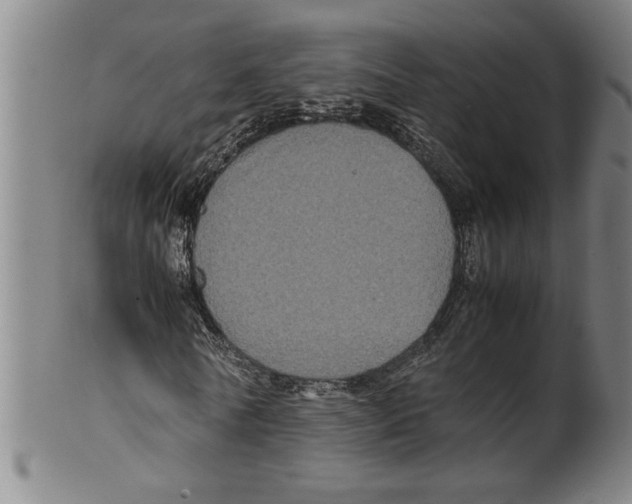 X0000099410770200806060931