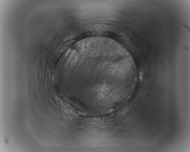 X0000099410771200806060931