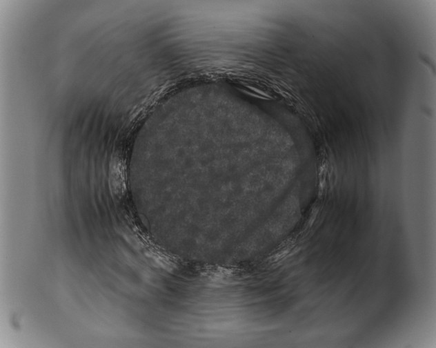 X0000099410772200806060931