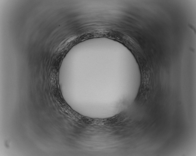 X0000099410773200806060931