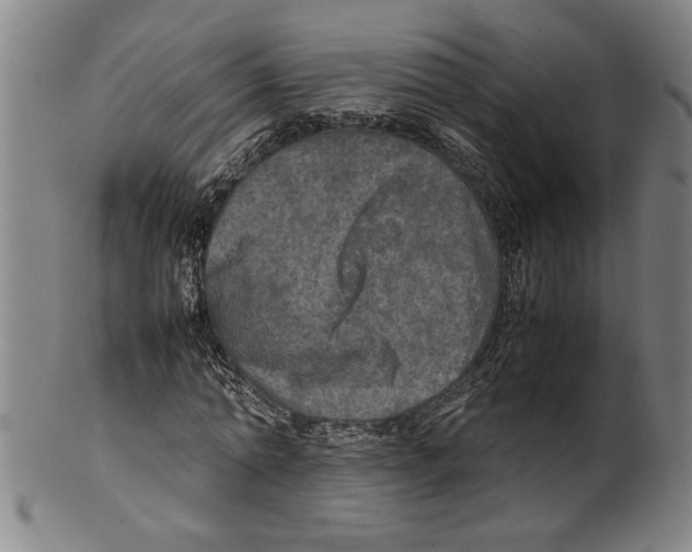 X0000099410774200806060931