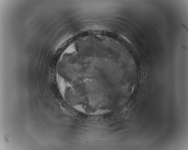 X0000099410775200806060931