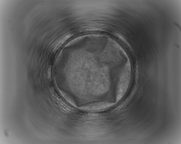 X0000099410777200806060931