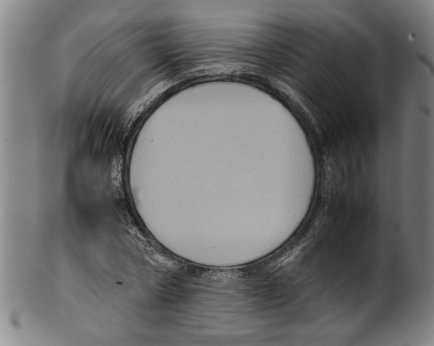 X0000099410778200806060931