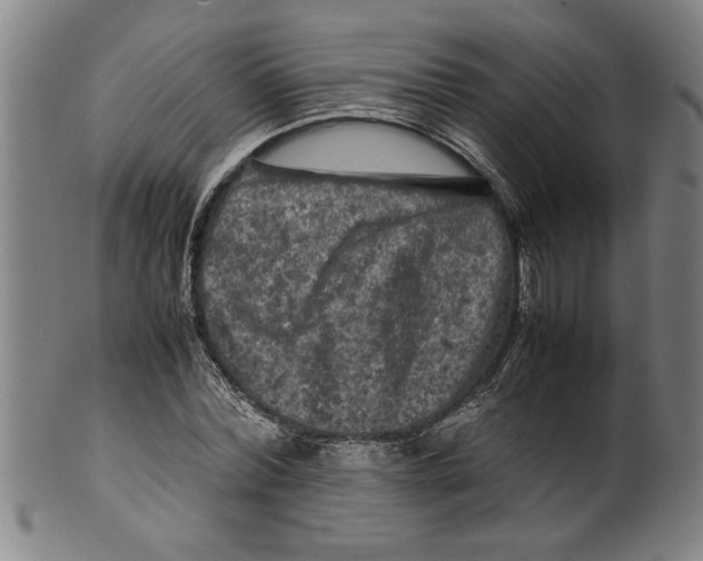 X0000099410780200806060930