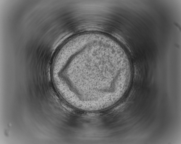 X0000099410782200806060930