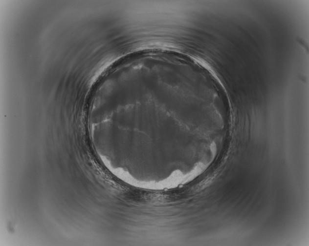 X0000099410783200806060930