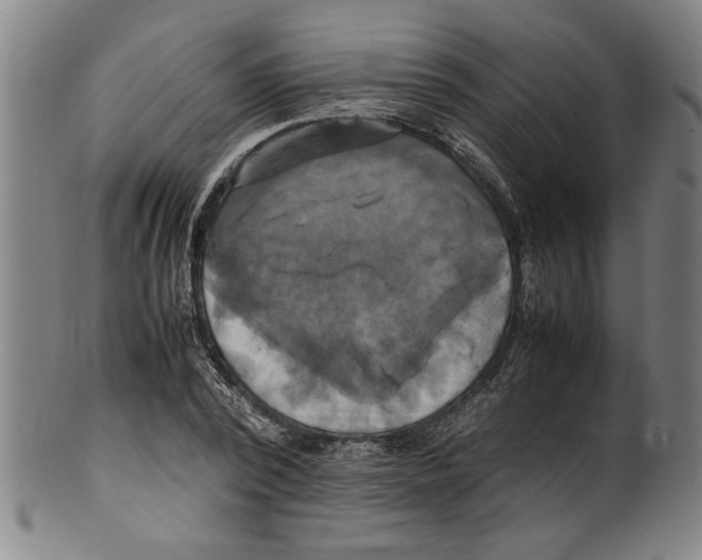 X0000099410784200806060930