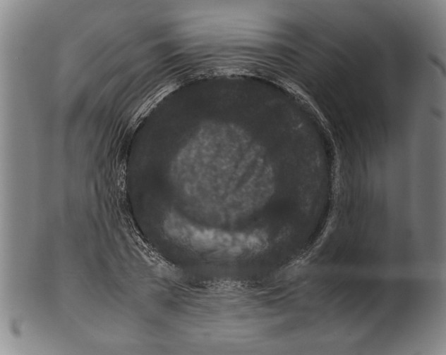 X0000099410785200806060930