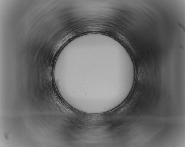 X0000099410786200806060930