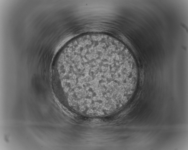 X0000099410787200806060930