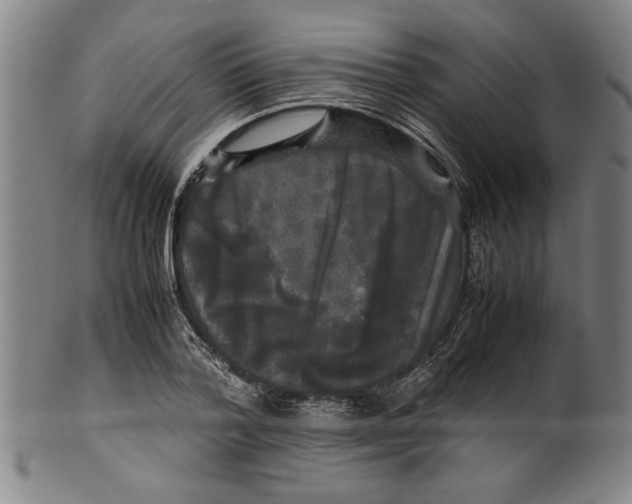 X0000099410788200806060930