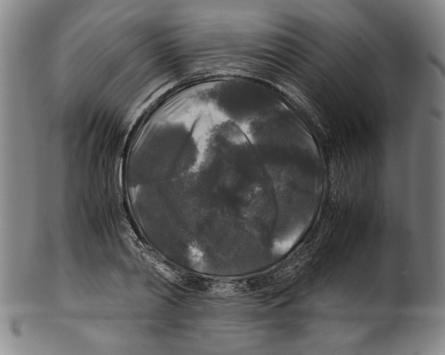 X0000099410790200806060930