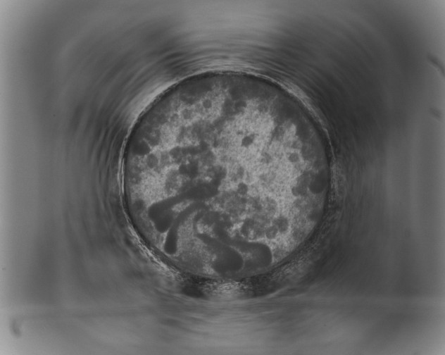 X0000099410791200806060930