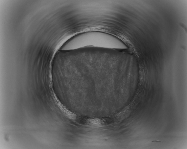 X0000099410792200806060930