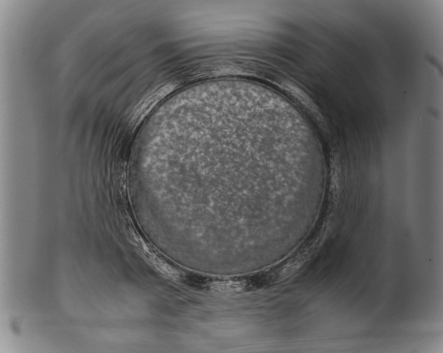 X0000099410793200806060930