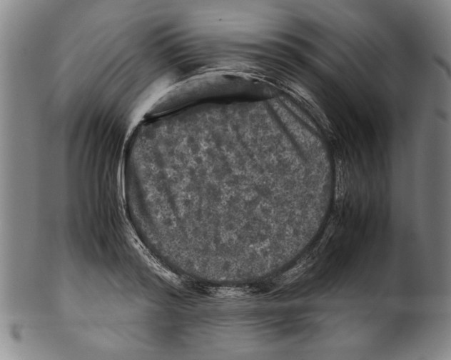 X0000099410796200806060930