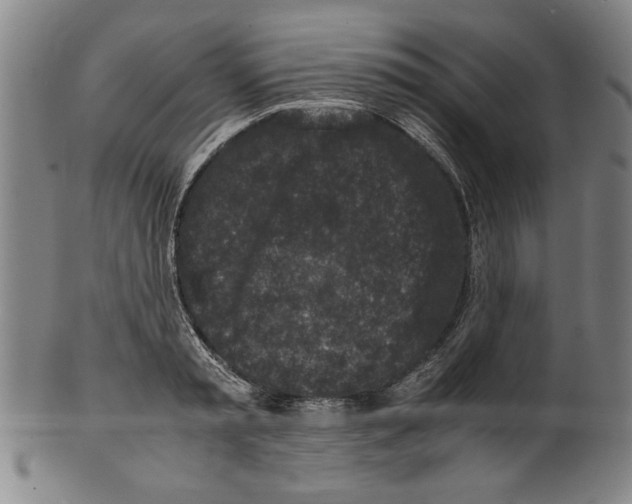 X0000099410797200806060930