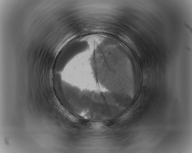 X0000099410798200806060930