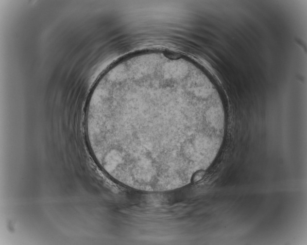 X0000099410799200806060930