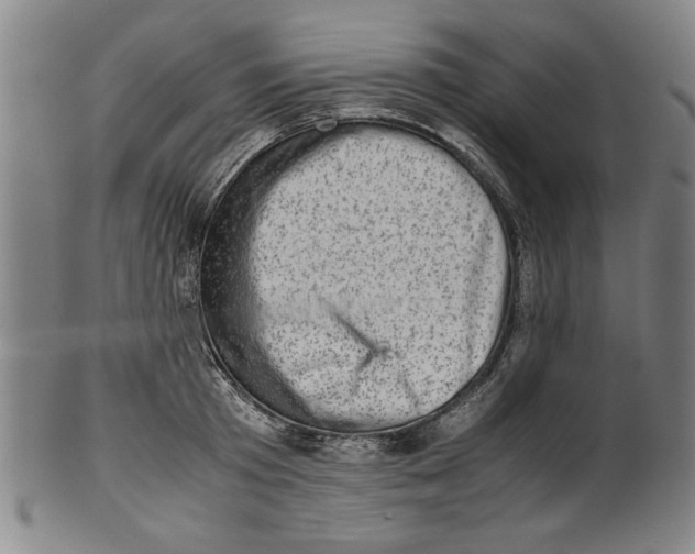 X0000099410801200806060930