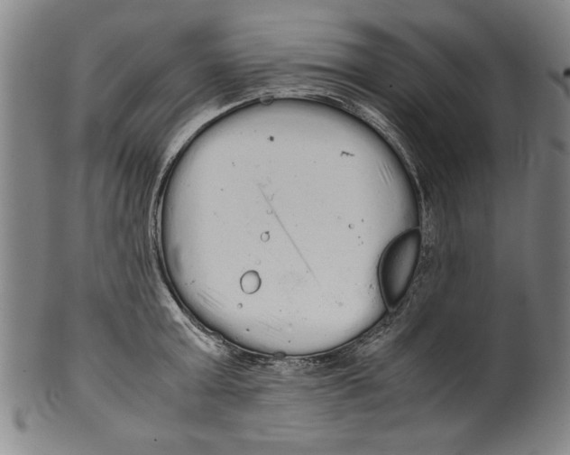 X0000099410803200806060930