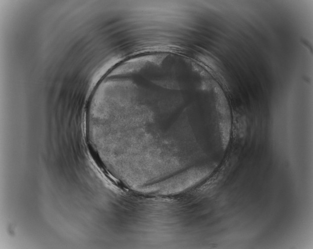 X0000099410804200806060930