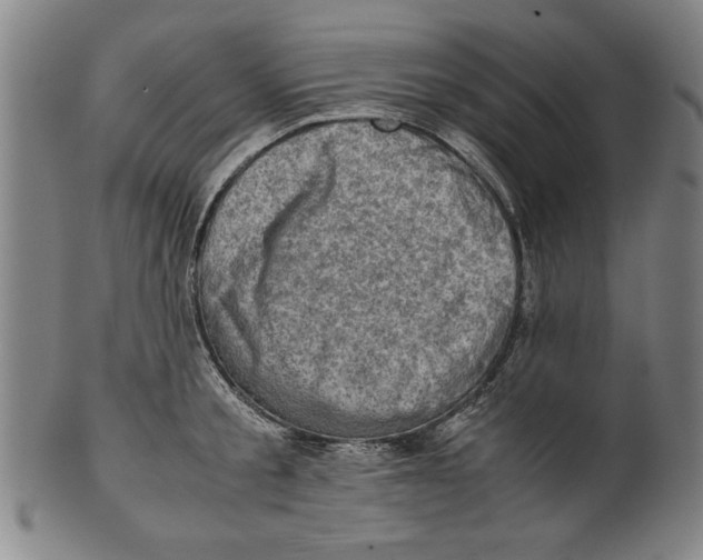 X0000099410805200806060930