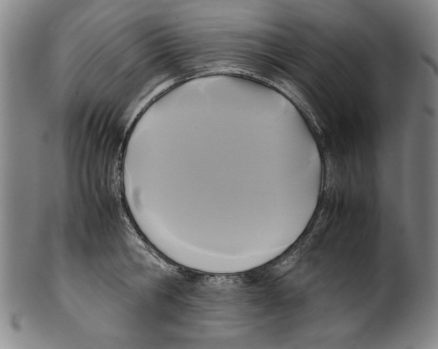 X0000099410806200806060930