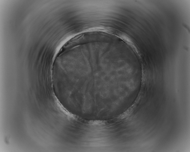 X0000099410808200806060930