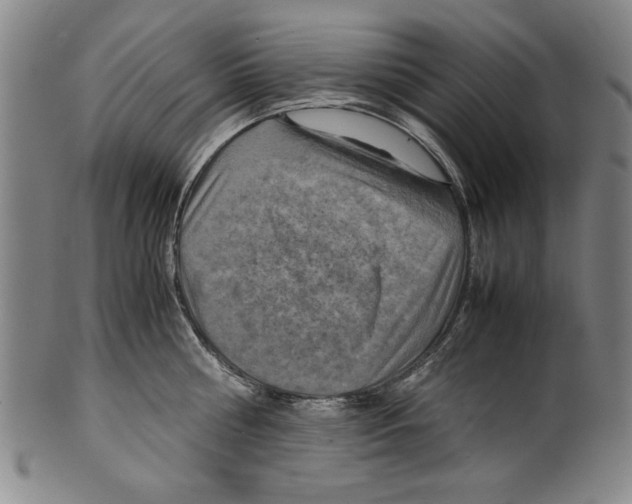 X0000099410810200806060930