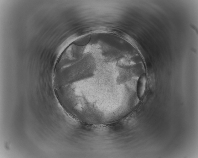 X0000099410811200806060930