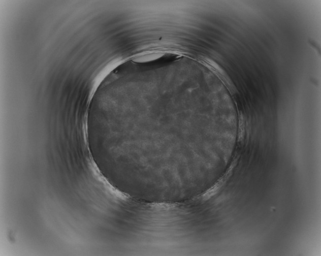 X0000099410812200806060930