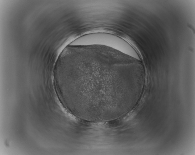 X0000099410813200806060930