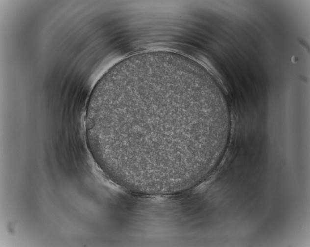 X0000099410814200806060930