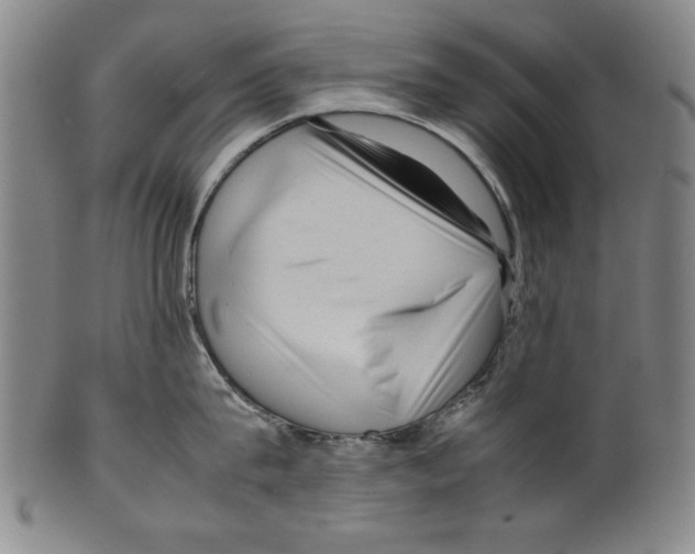 X0000099410815200806060930