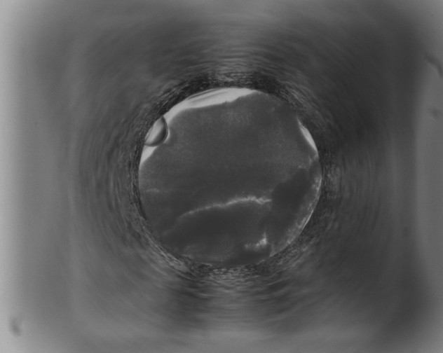 X0000099410817200806060929