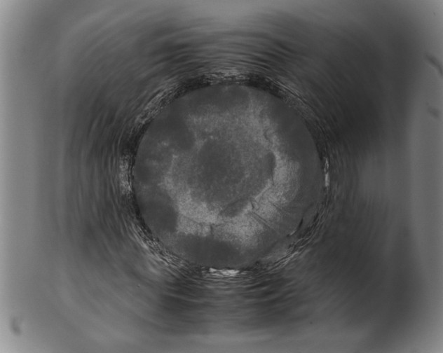 X0000099410819200806060929