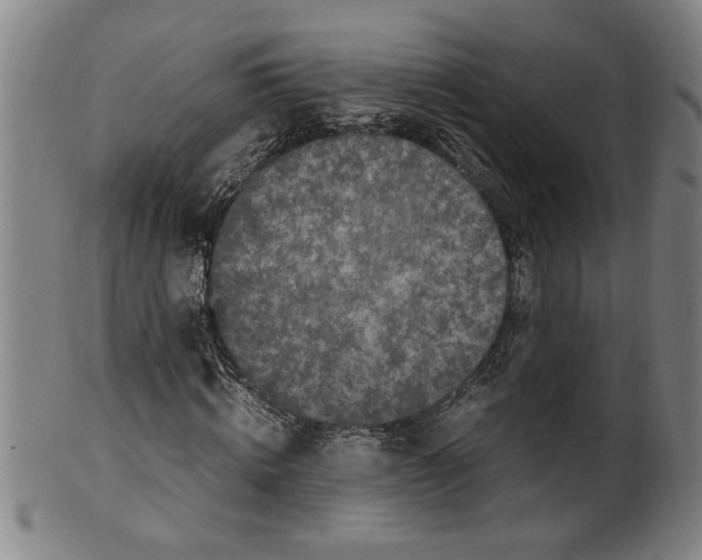 X0000099410820200806060929