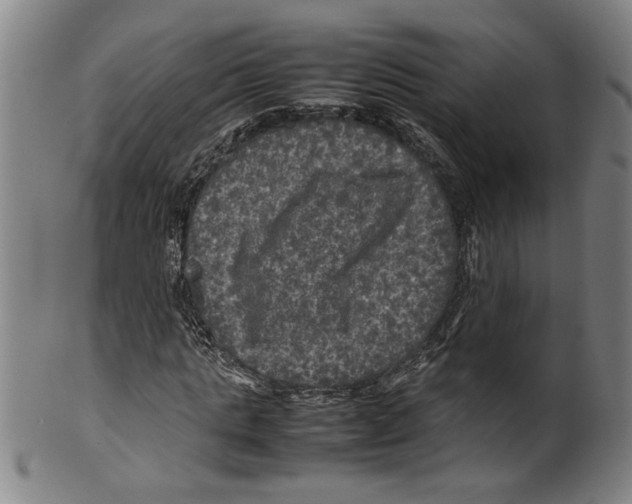 X0000099410821200806060929