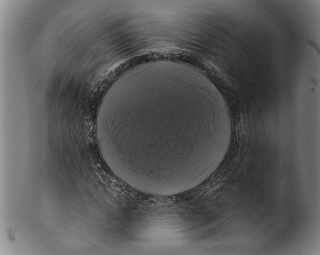 X0000099410822200806060929