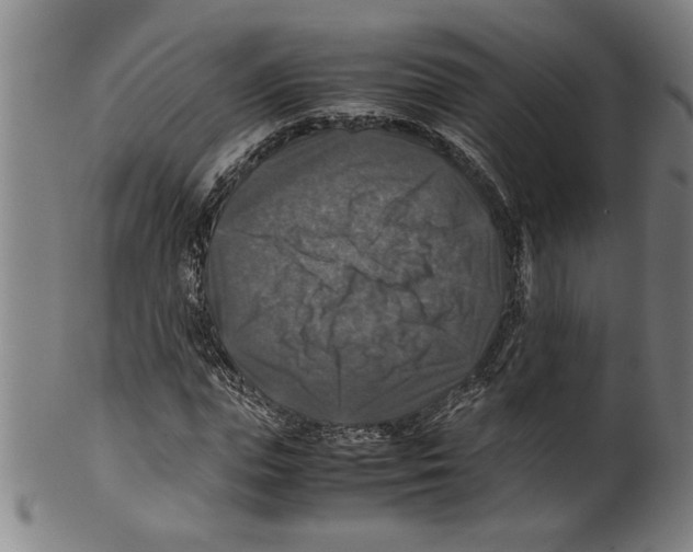 X0000099410823200806060929