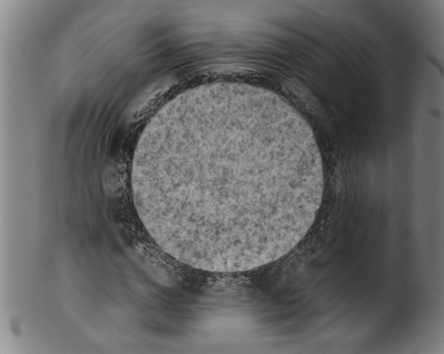 X0000099410824200806060929