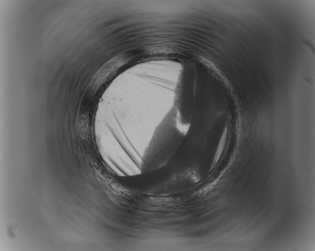 X0000099410825200806060929