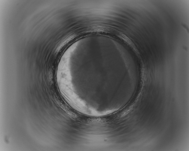 X0000099410826200806060929