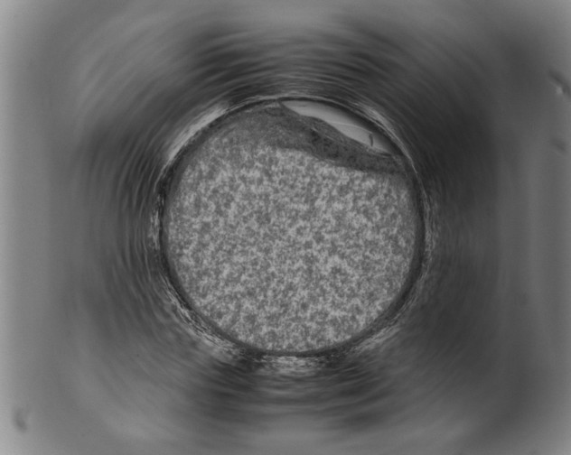 X0000099410827200806060929