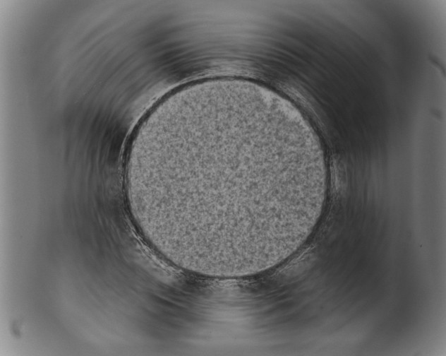 X0000099410828200806060929