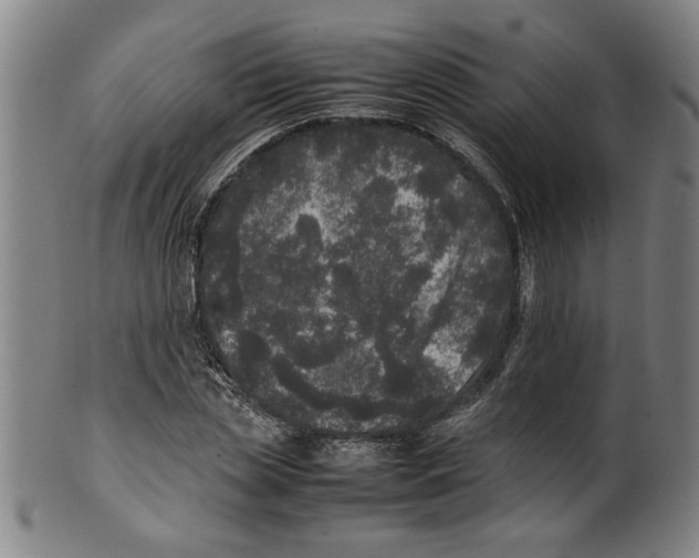 X0000099410829200806060929